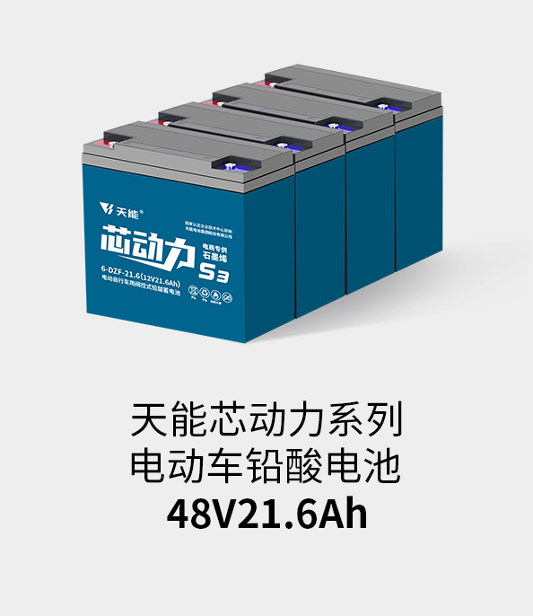 UG环球电池48v20ah