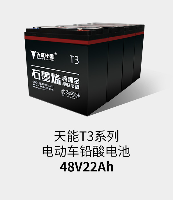 UG环球T3系列48v22ah